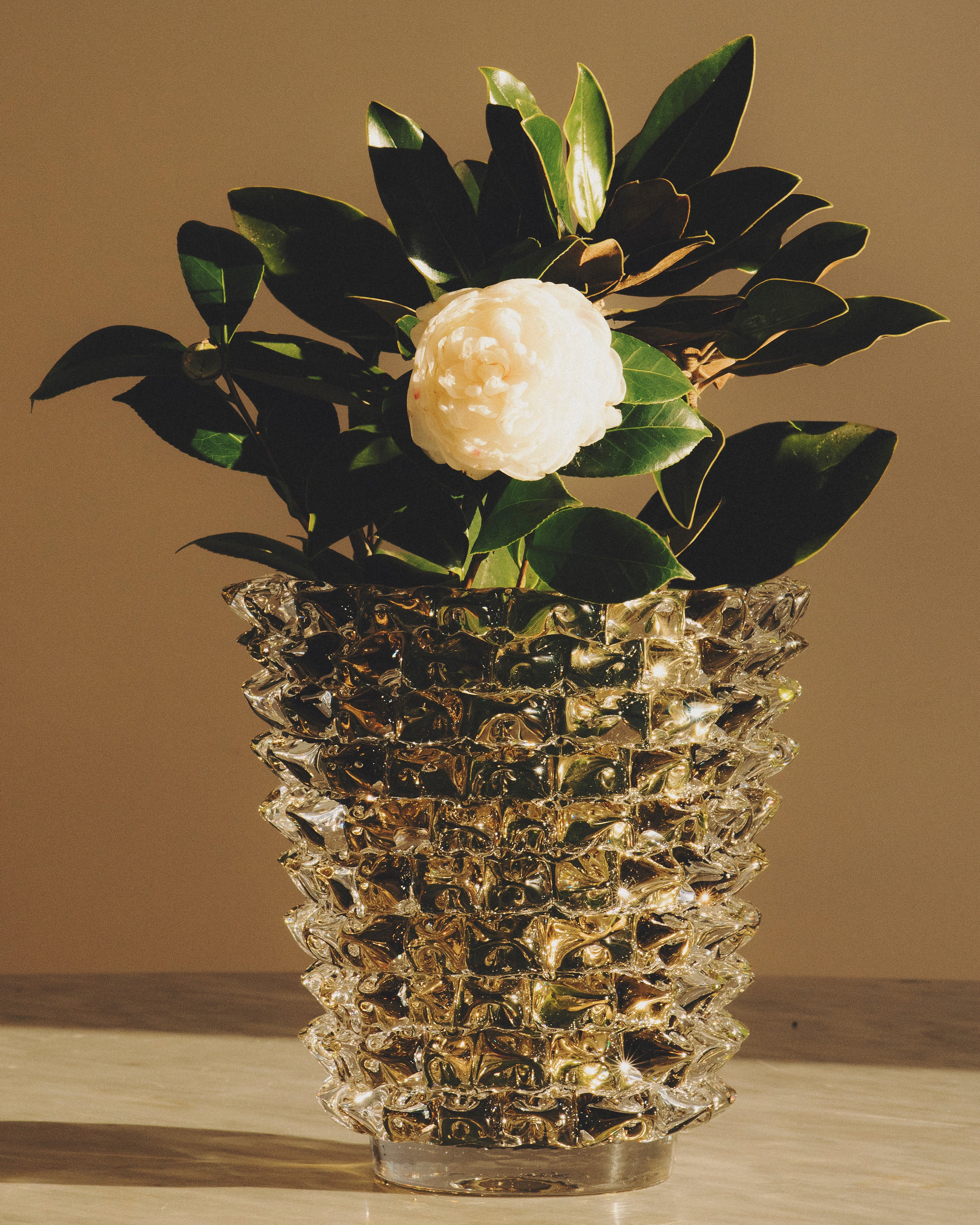 Una Vase in Smoke