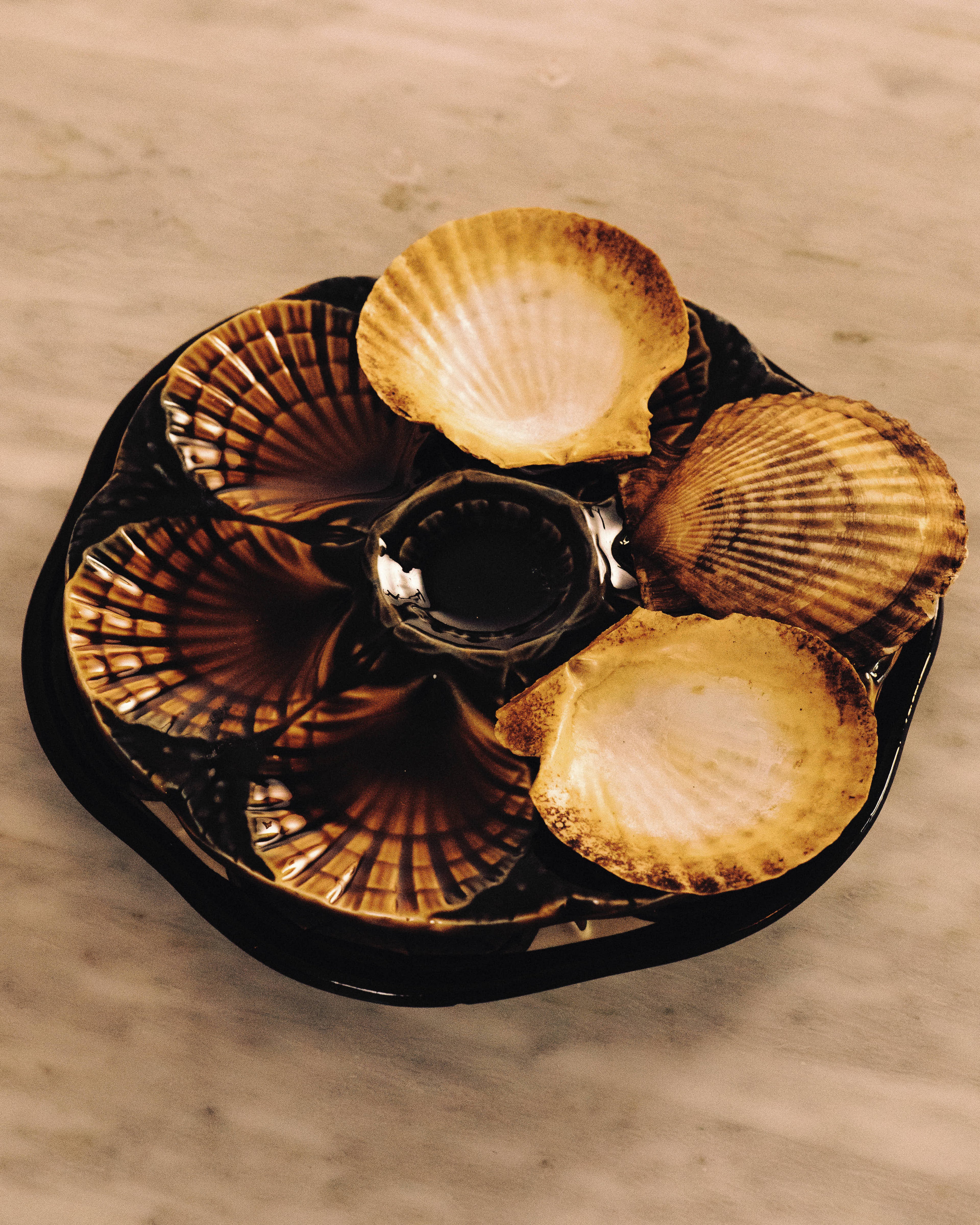 Vintage Sarreguemines Majolica Oyster Plates