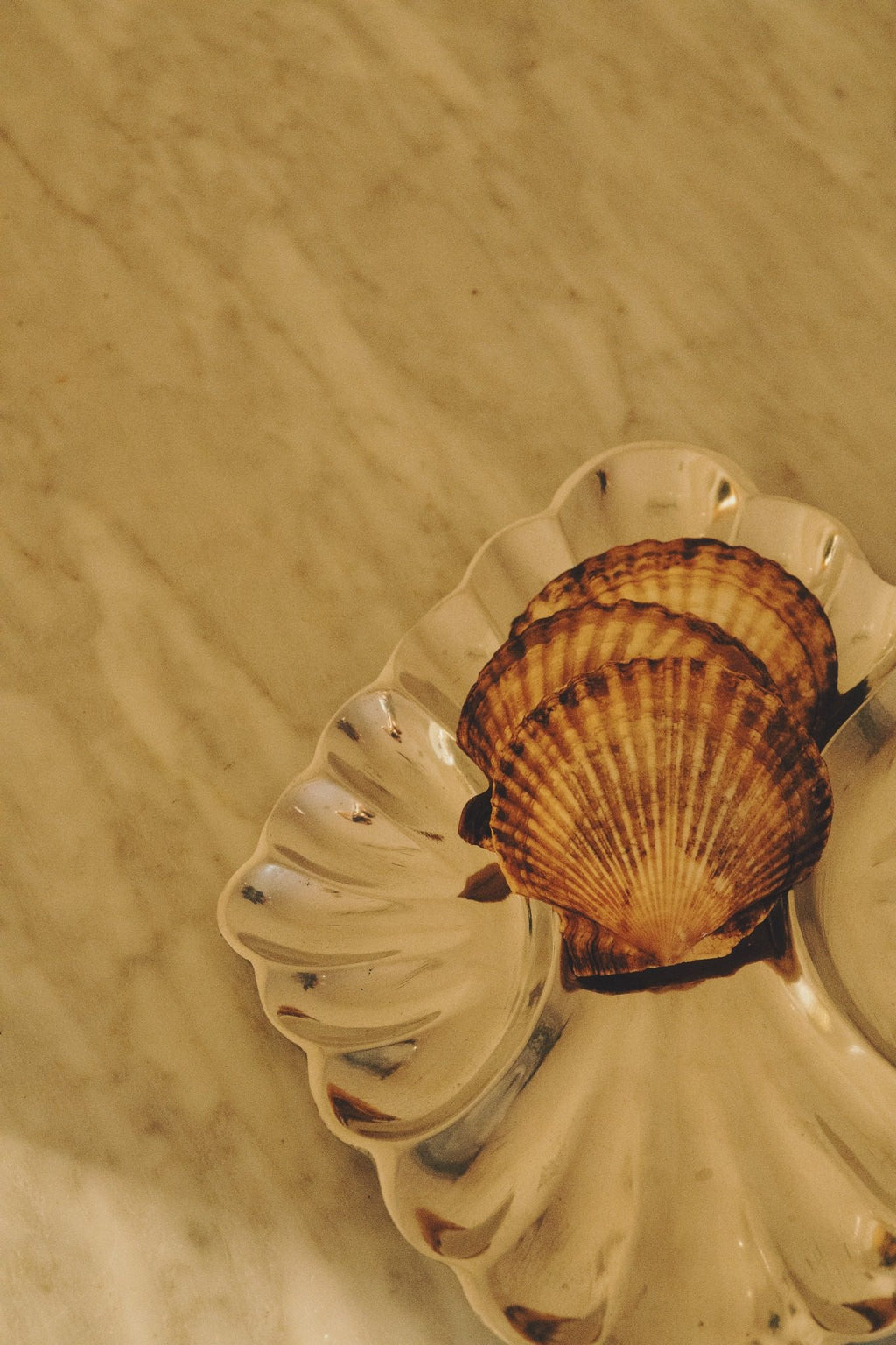 Conchiglia Silver Shell Tray