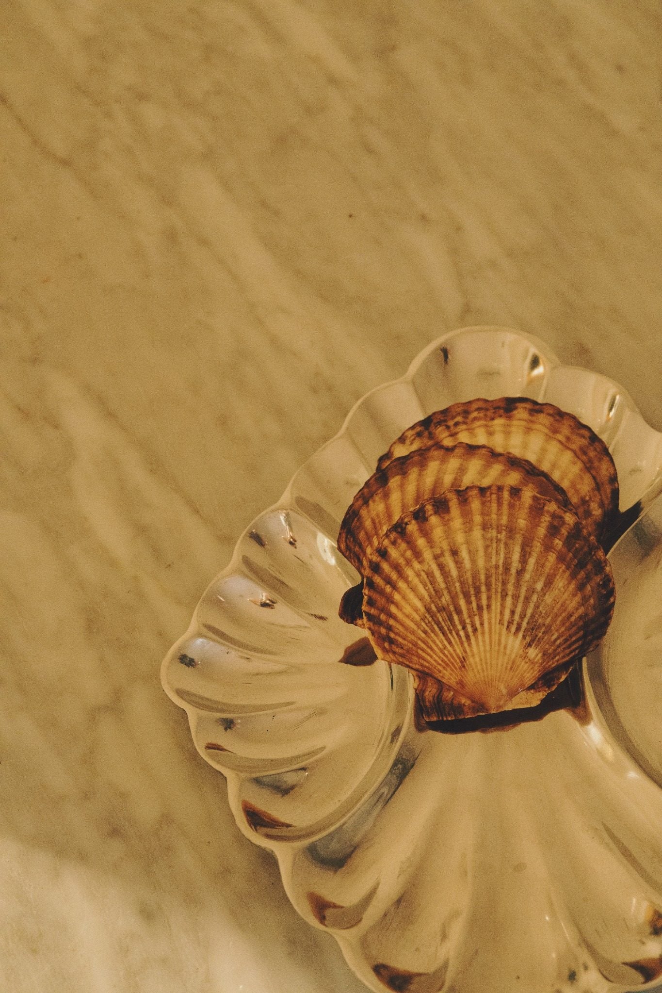 Conchiglia Silver Shell Tray