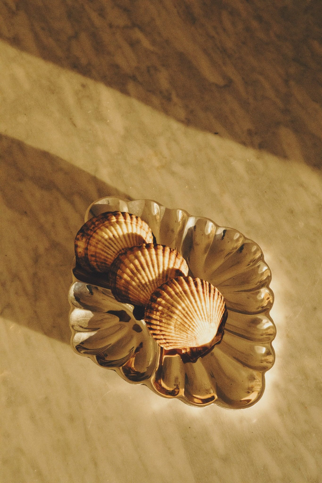 Conchiglia Silver Shell Tray